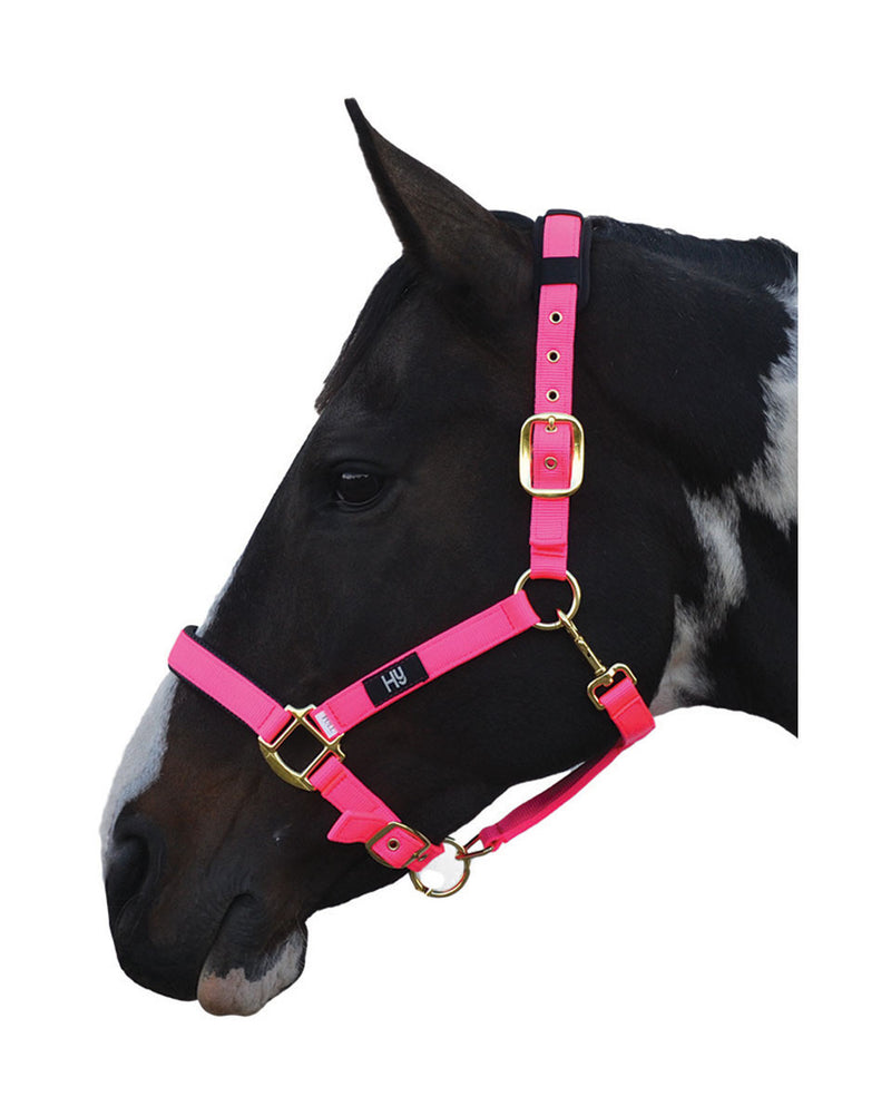 Hy Deluxe Padded Head Collar - Nags Essentials