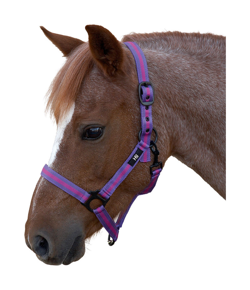 Hy Duo Head Collar - Nags Essentials