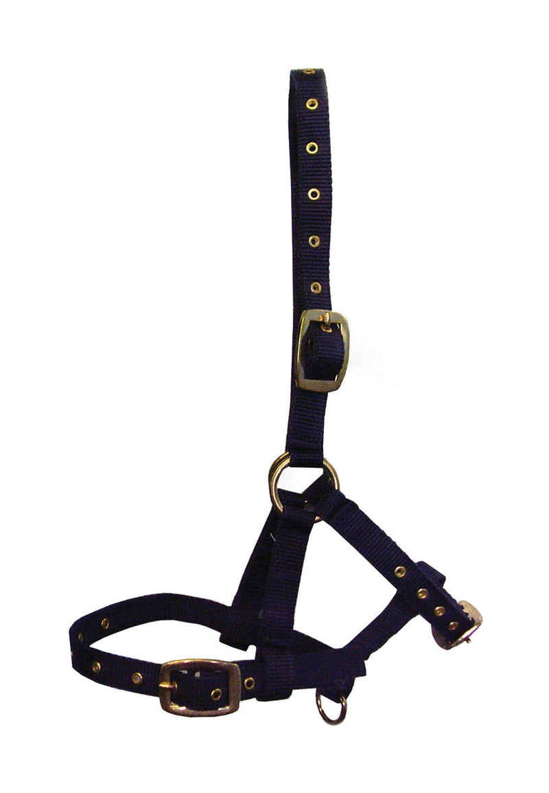 Hy Foal Head Collar