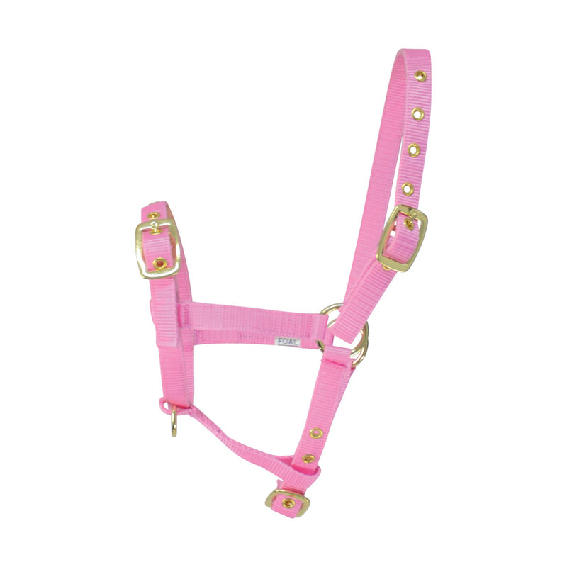 Hy Foal Head Collar