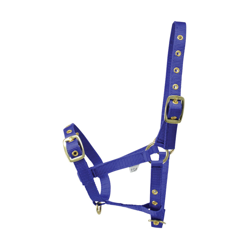 Hy Foal Head Collar