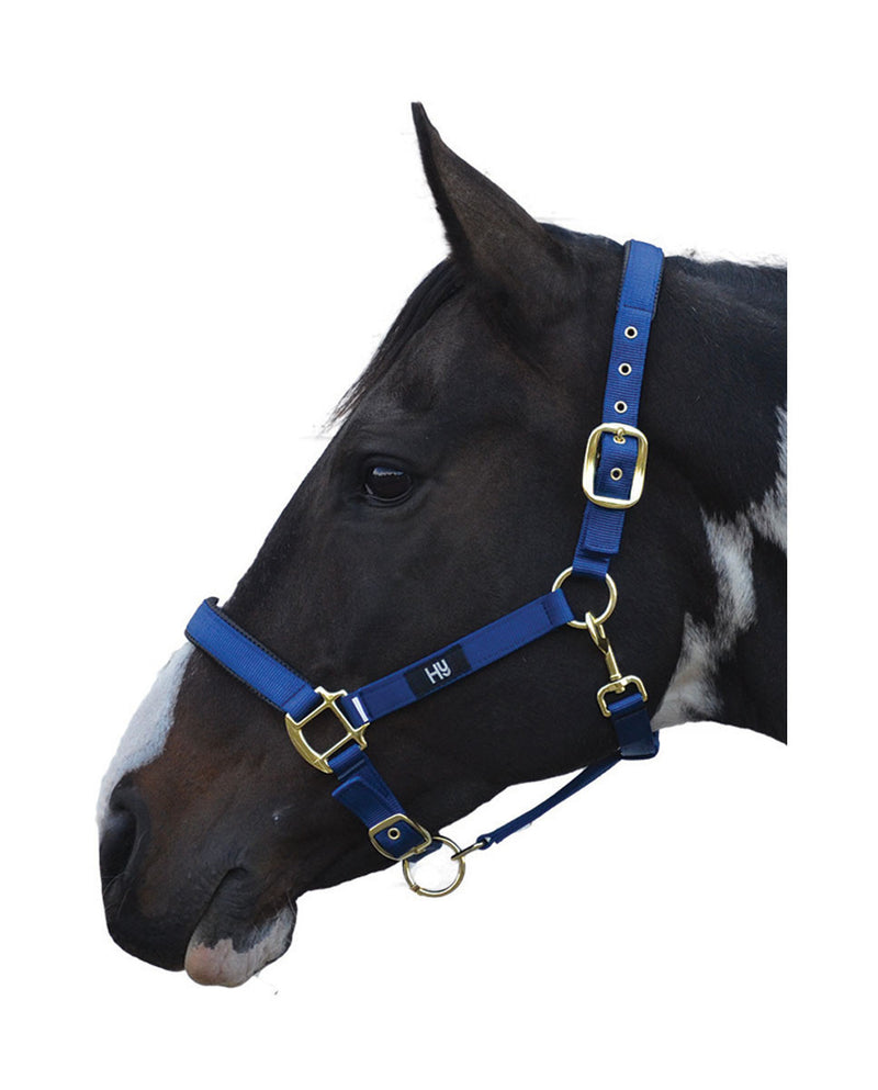 Hy Grand Prix Head Collar - Nags Essentials