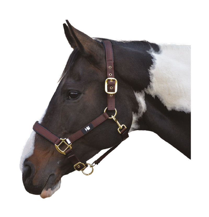 Hy Grand Prix Head Collar - Nags Essentials