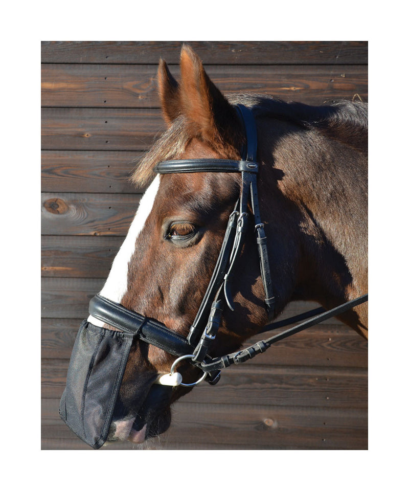 Hy Nose Shield - Nags Essentials