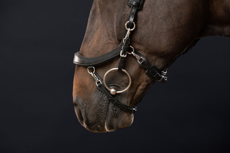 PresTeq FaySport Anatomical Bridle - Nags Essentials