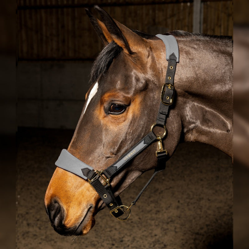 Whitaker Harewood Headcollar