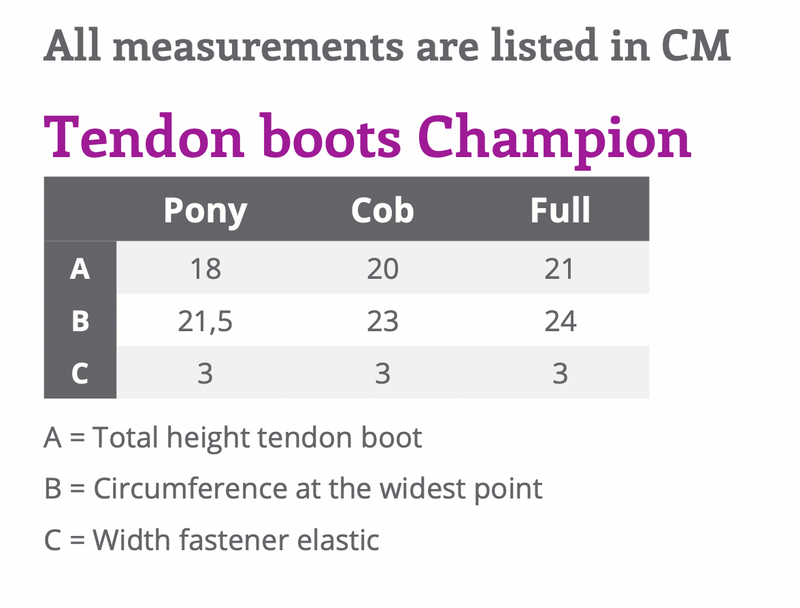 Tendon boots Champion - Nags Essentials