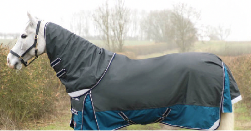 DefenceX System 50 Turnout Rug with Detachable Neck Cover - Nags Essentials