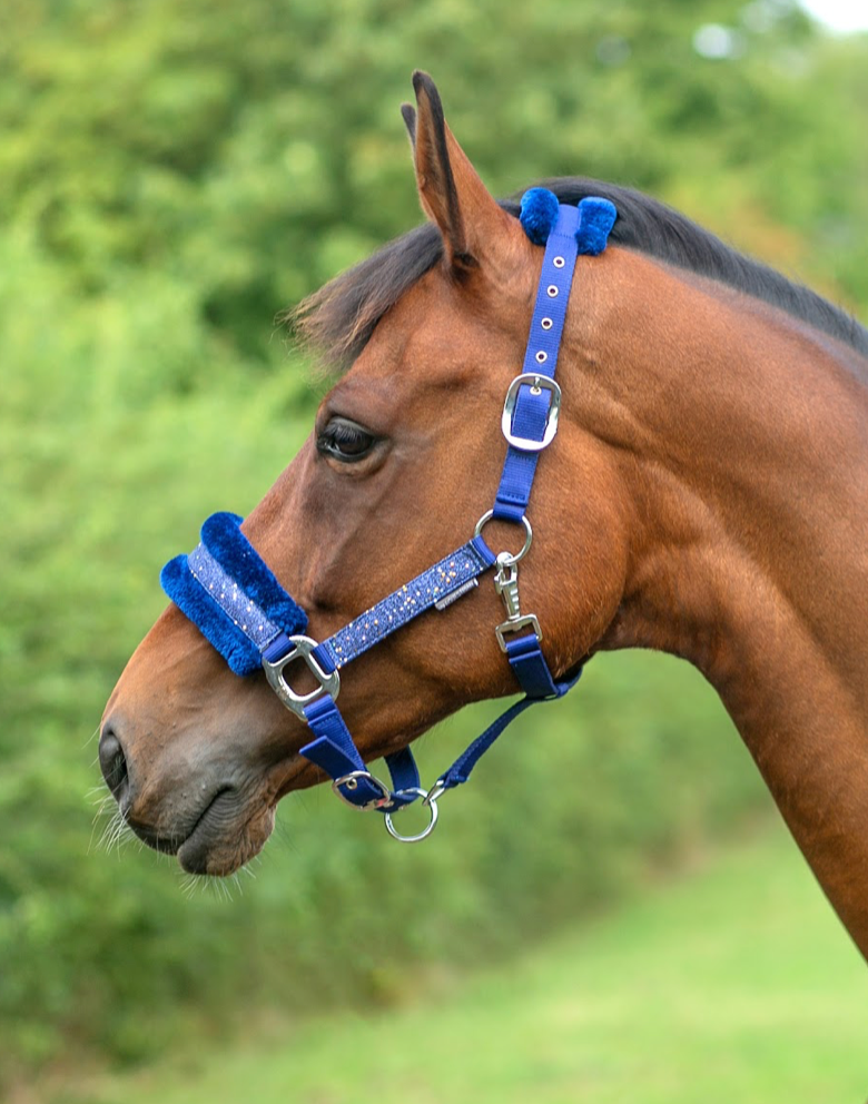 Hy Dazzle Head Collar