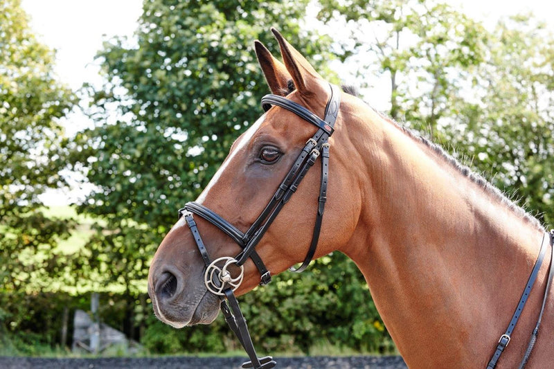 Whitaker Barton Flash Bridle