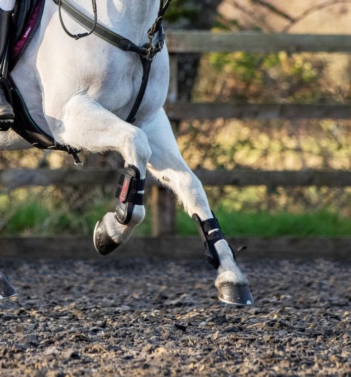 LeMieux Junior Pro Tendon Boots - Nags Essentials