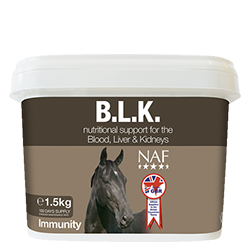 NAF BLK - Nags Essentials