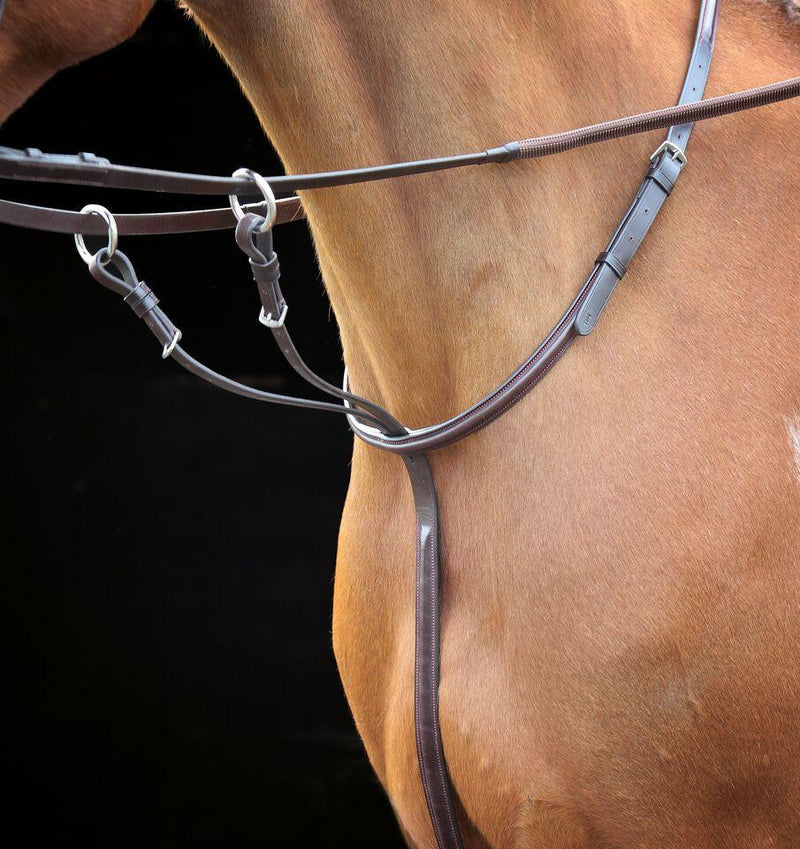 Lavello Running Martingale - Nags Essentials