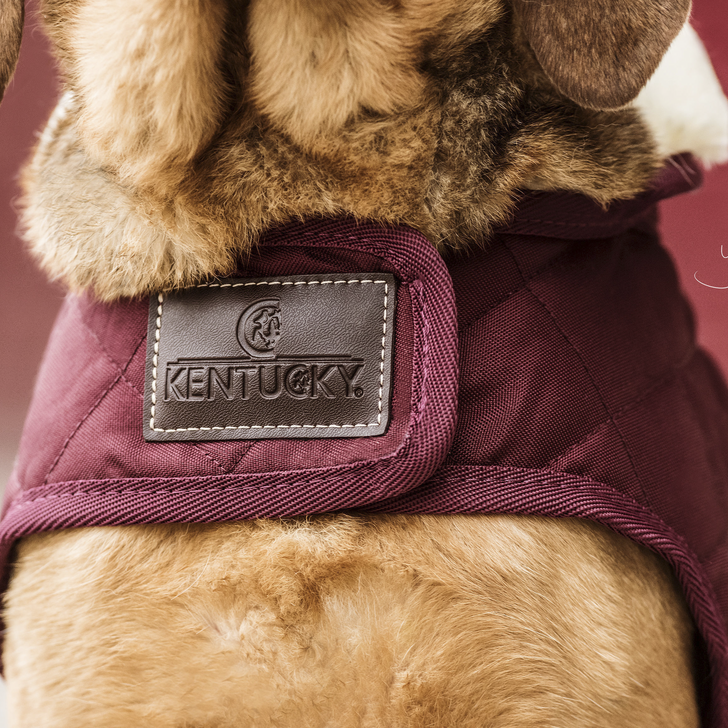 Kentucky Dog Coat- Bordeaux