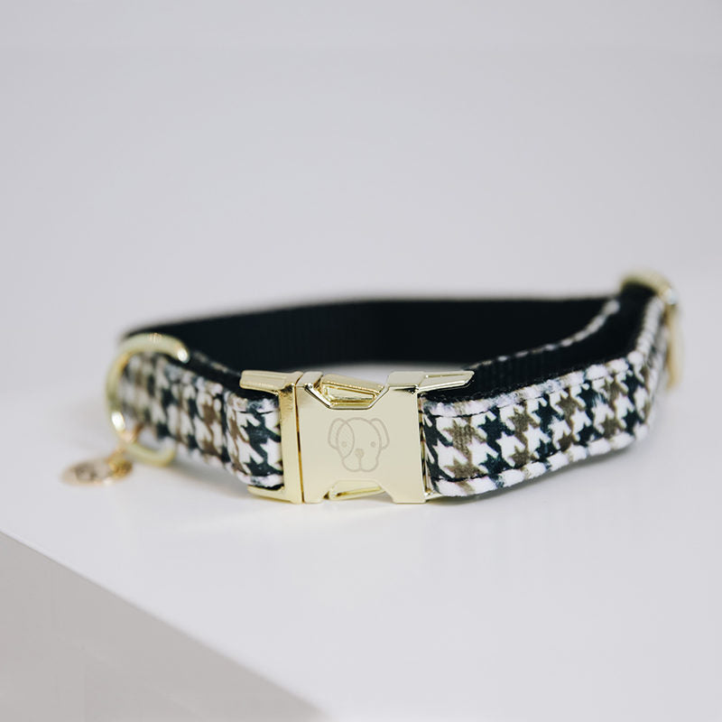 Kentucky Pied-de-Poule Dog Collar