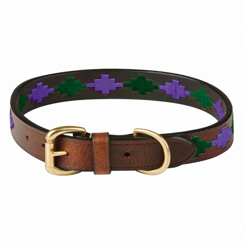 Weatherbeeta Polo Dog Collar