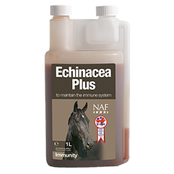 NAF Echinacea Plus - Nags Essentials