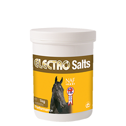NAF Electro Salts - Nags Essentials