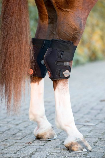 LeMieux Magno Conductive Hock  Boots - Nags Essentials