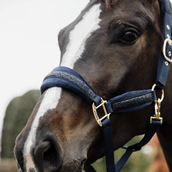 Kentucky Horsewear Glitter Stone Head Collar - Nags Essentials