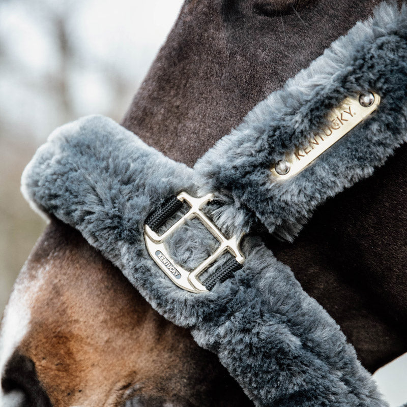 Kentucky Horsewear Sheepskin Headcollar - Nags Essentials