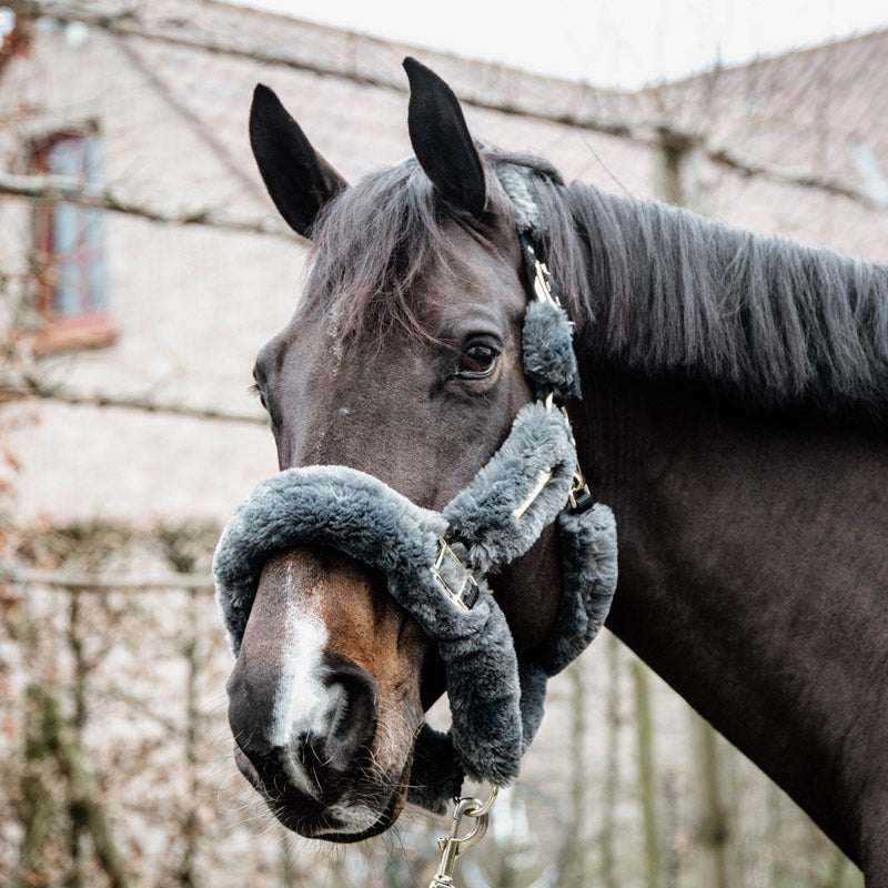 Kentucky Horsewear Sheepskin Headcollar - Nags Essentials