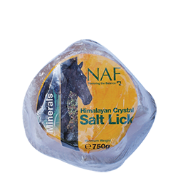 NAF Himalayan salt licks - Nags Essentials