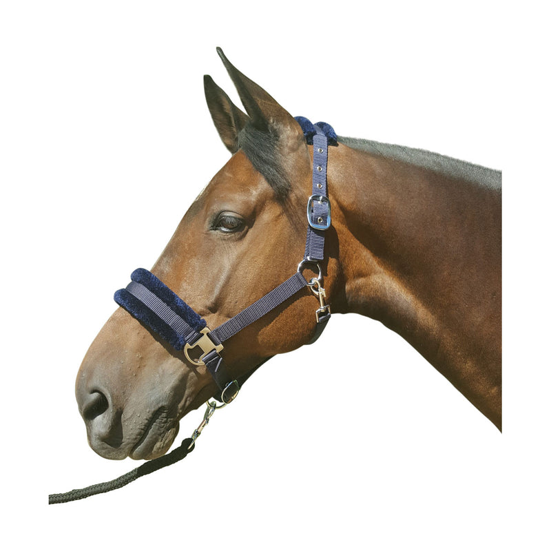 Hy Faux Fur Padded Head Collar with Lead Rope - Nags Essentials