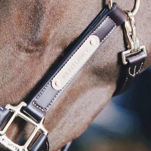 Kentucky Horsewear Anatomic Leather Head Collar - Nags Essentials