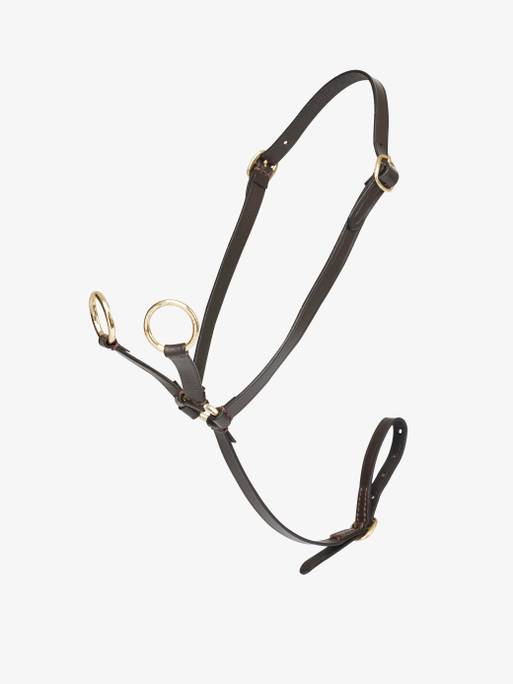 Lemieux Toy Pony Martingale