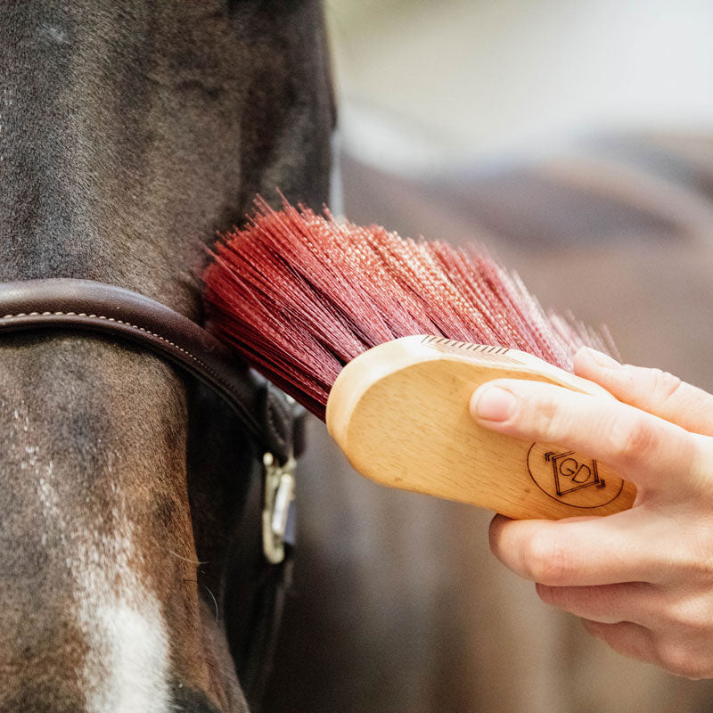 Grooming Deluxe Middle Brush Long - Nags Essentials