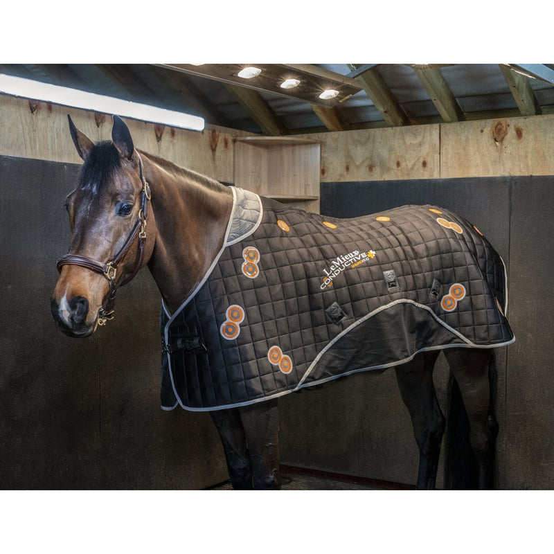 LeMieux Conductive Magno Rug - Nags Essentials