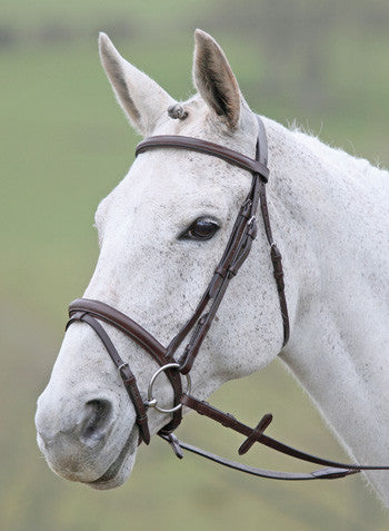 Melton Padded Raised Flash Bridle - Nags Essentials