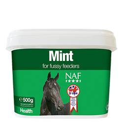 NAF Mint - Nags Essentials