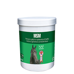 NAF MSM - Nags Essentials
