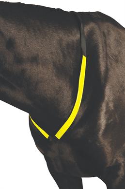 Roma Reflective Breastplate - Nags Essentials