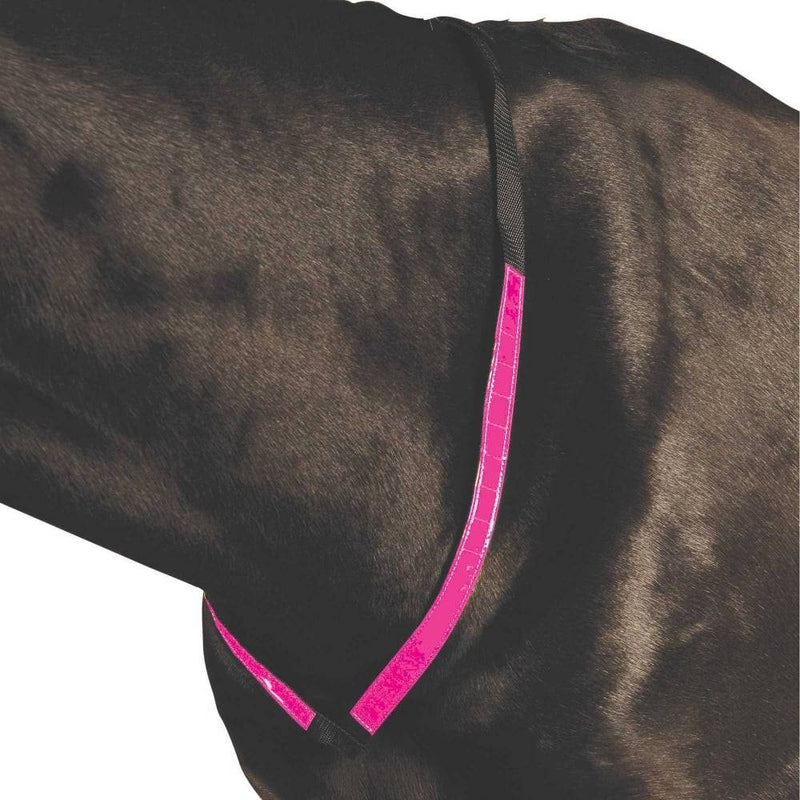 Roma Reflective Breastplate - Nags Essentials