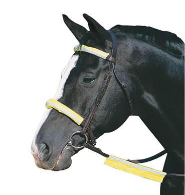 Roma Reflective Bridle Kit - Nags Essentials