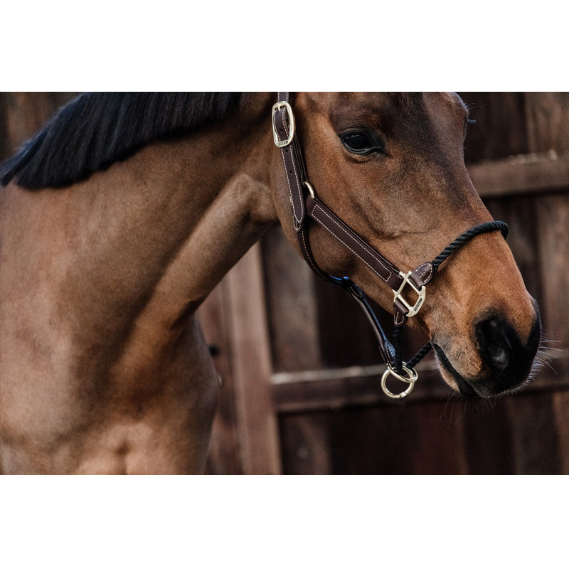 Kentucky Horsewear Rope Halter - Nags Essentials