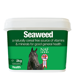 NAF Seaweed - Nags Essentials