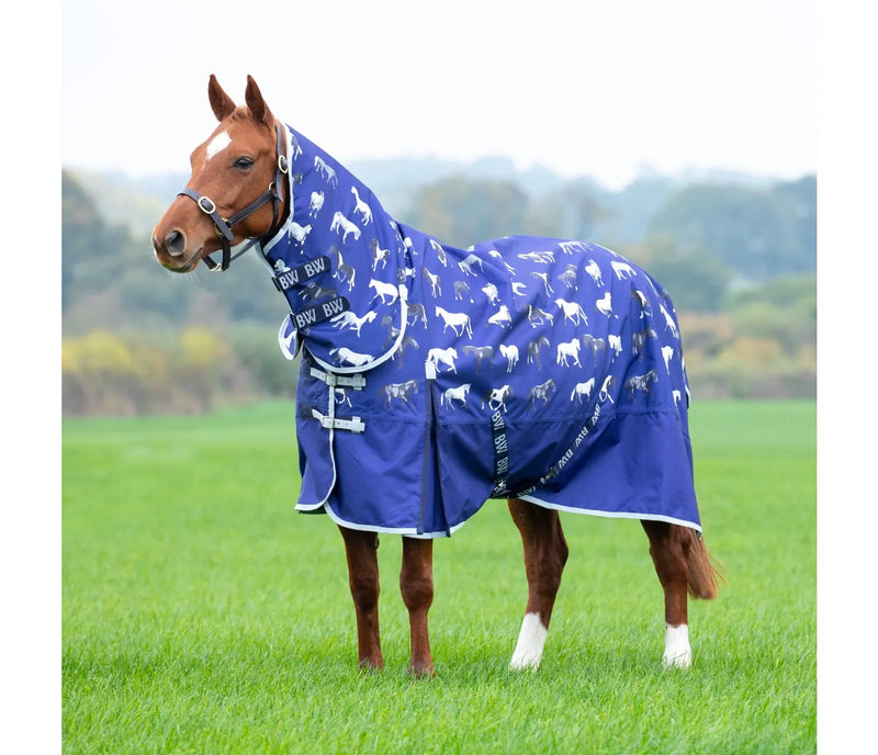 Ontario Lite Combo Turnout Rug