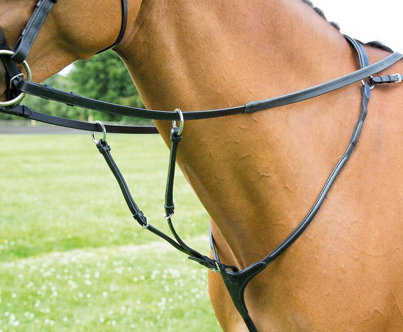 Lavello Breastplate - Nags Essentials