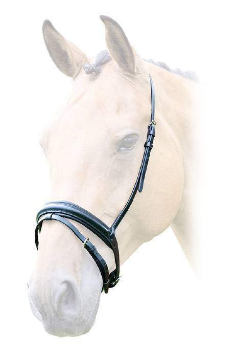 Lavello Flash Noseband - Nags Essentials