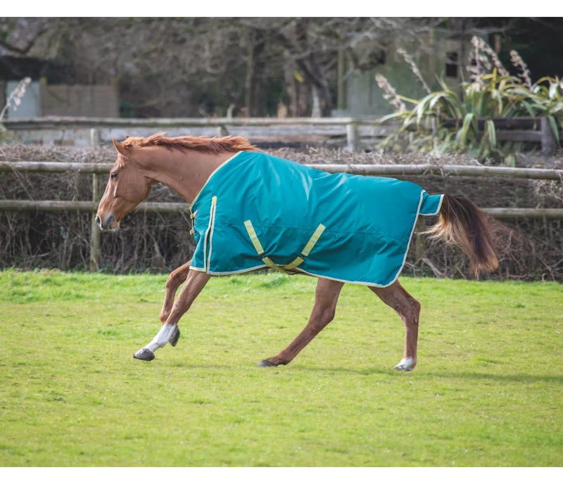 Ontario 100G Turnout Rug