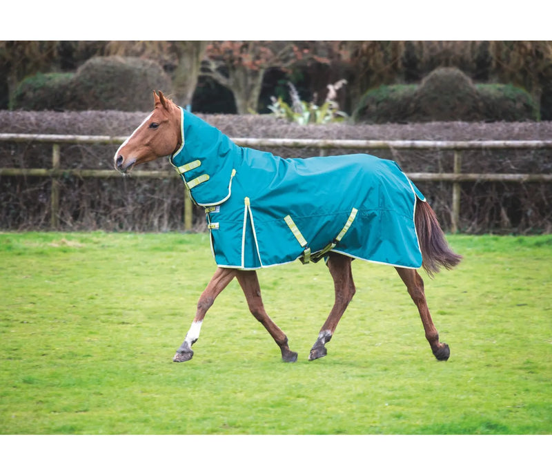 Ontario 100g Combo Turnout Rug