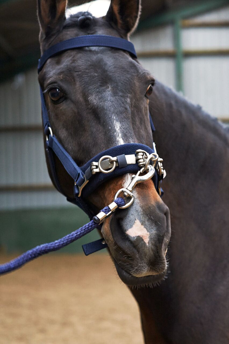 John Whitaker Lunge Cavesson - Nags Essentials