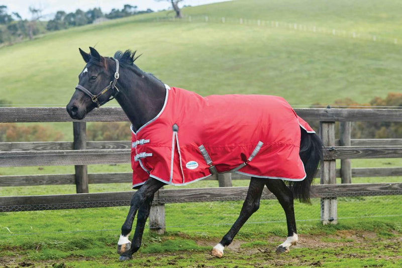 WeatherBeeta ComFiTec Classic Medium Turnout Rug - Nags Essentials